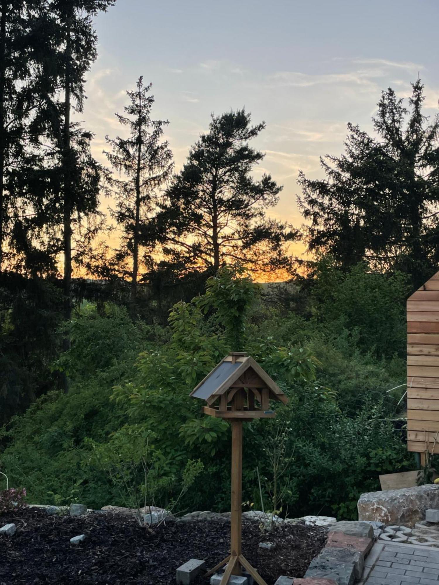 Sonnenschein *