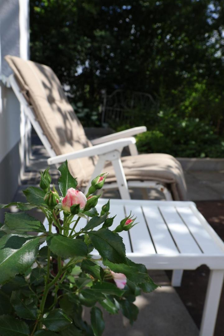 Sonnenschein Apartment